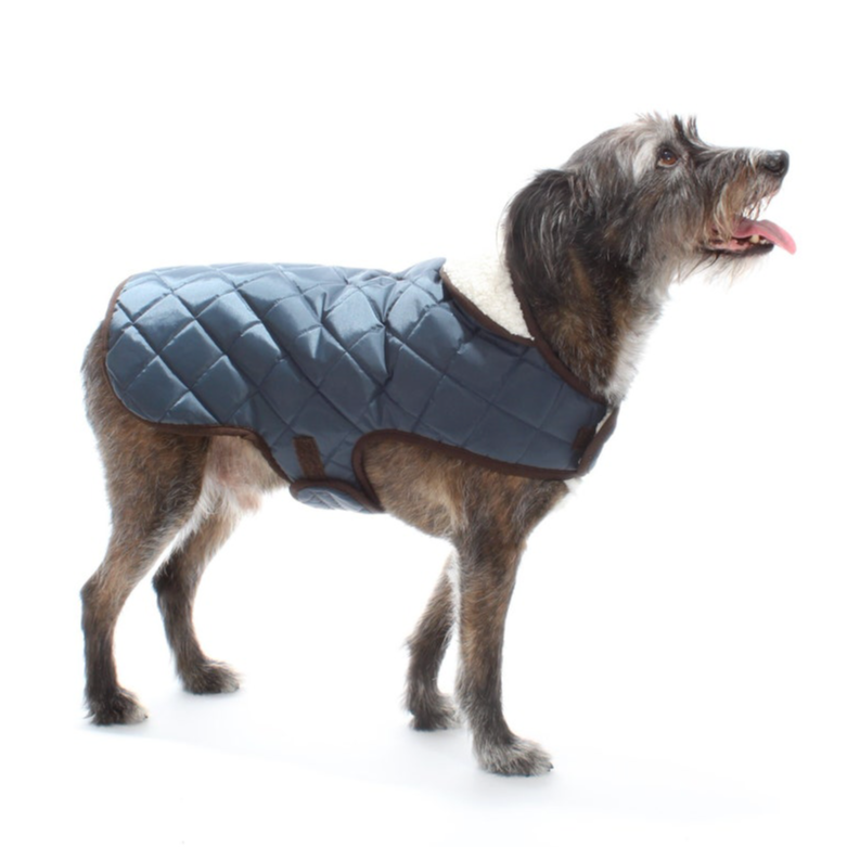 Custom Dog Coat