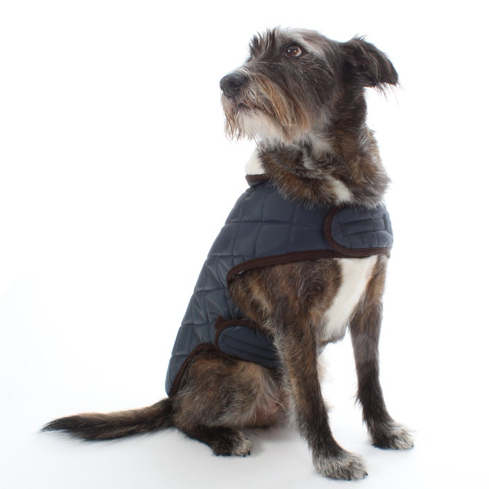 Custom Dog Coat