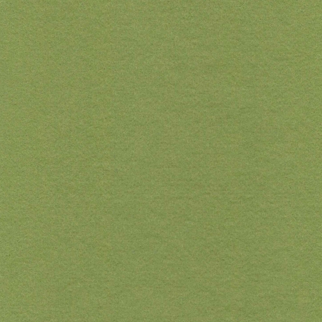 Wool Felt - 8x12 - Pale Green