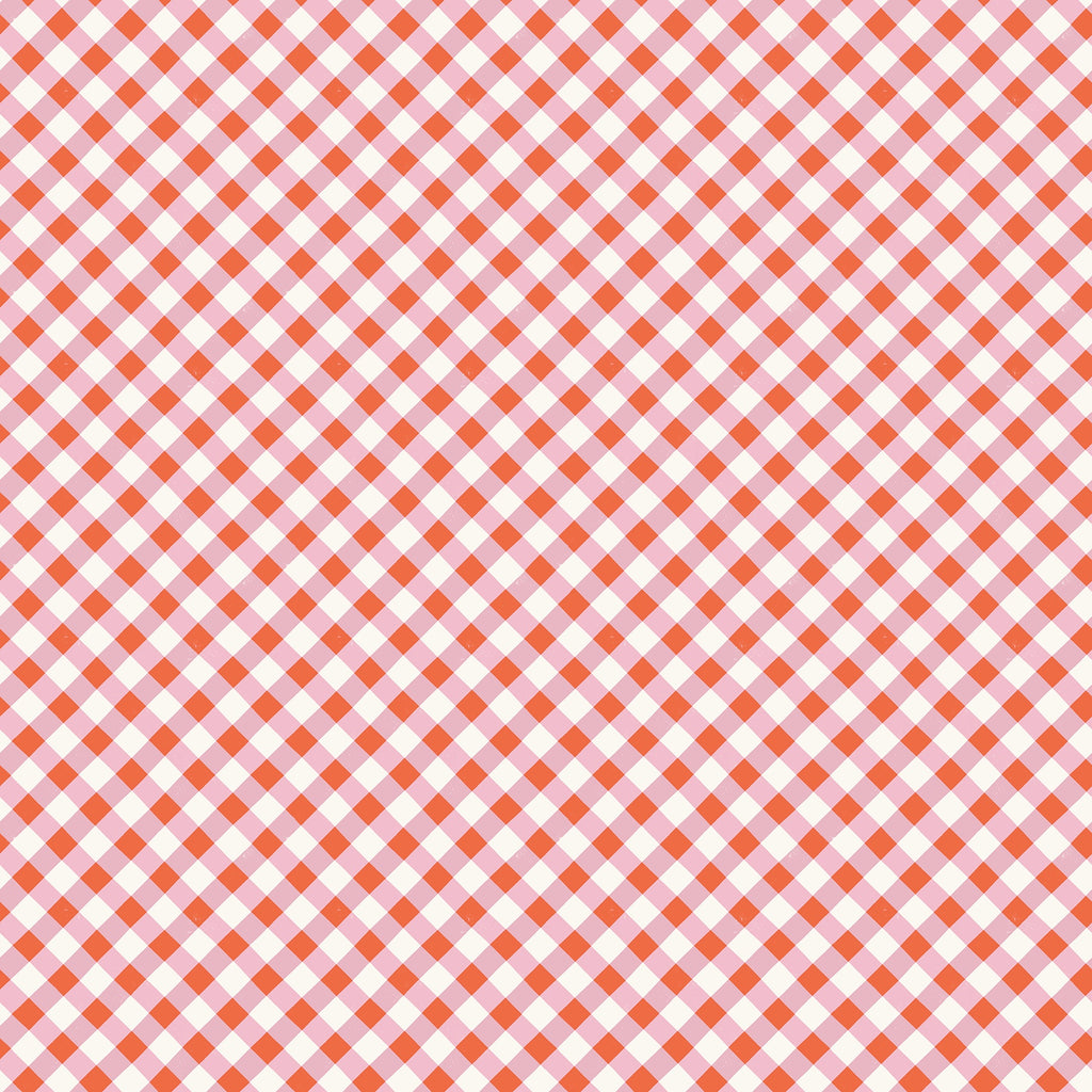 1/2m Ruby Star Society - Food Group - Painted Gingham - Kiss