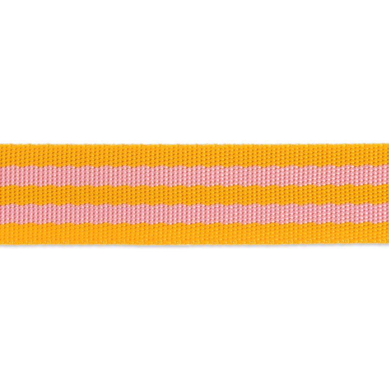 25mm (1") Tula Pink Nylon Webbing - Orange Fizz - Per 1/2m